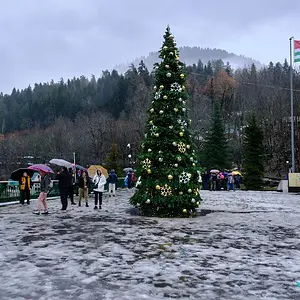 Фото №3 - Новый год на озере Рица в Абхазии