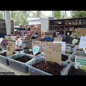 Видео - 1 день в Абхазии. Экскурсия из Сочи зимой в январе.