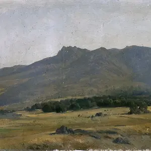 Картина - Долина в горах Сьерра-де-Гуадаррама, 1870