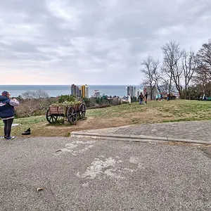 Фото - Смотровая поляна в Дендрарии Сочи