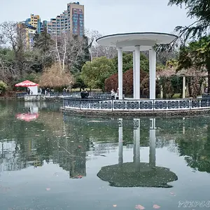 Фото - Беседка у пруда с лебедями в парке Дендрарии Сочи