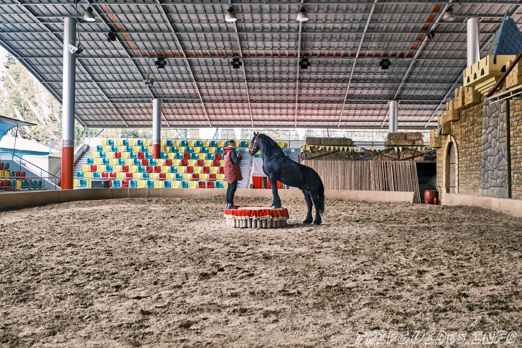 Фото - Конный театр в парке Ривьера Сочи